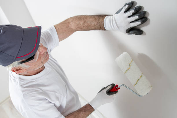 Best Post-Remediation Verification Testing  in Dland, MI