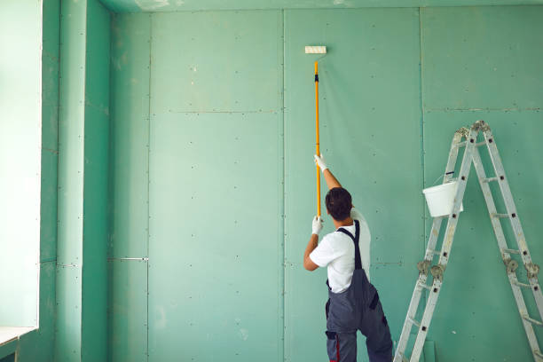 Best Water Damage & Mold Remediation  in Dland, MI
