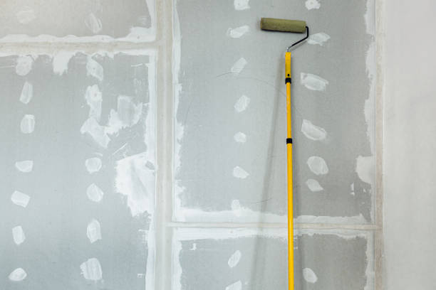 Best Attic Mold Removal  in Dland, MI