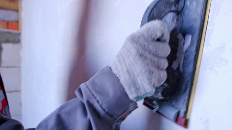Best Mold Damage Restoration  in Dland, MI