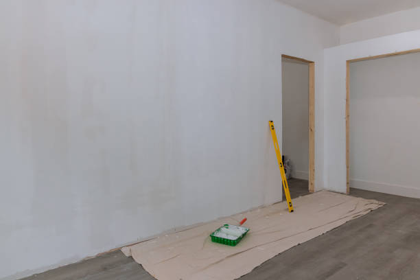 Best Mold Documentation for Insurance Claims  in Dland, MI