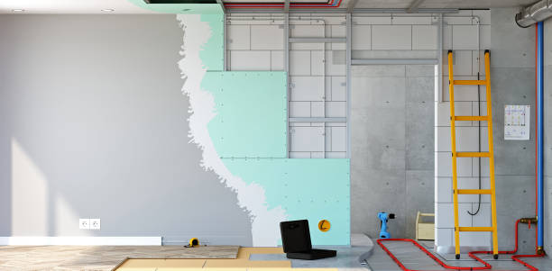 Best Mold Removal for HVAC Installations  in Dland, MI