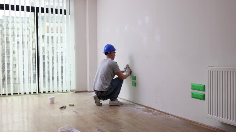 Best Industrial Mold Remediation  in Dland, MI