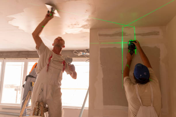 Best Mold Odor Removal Services  in Dland, MI