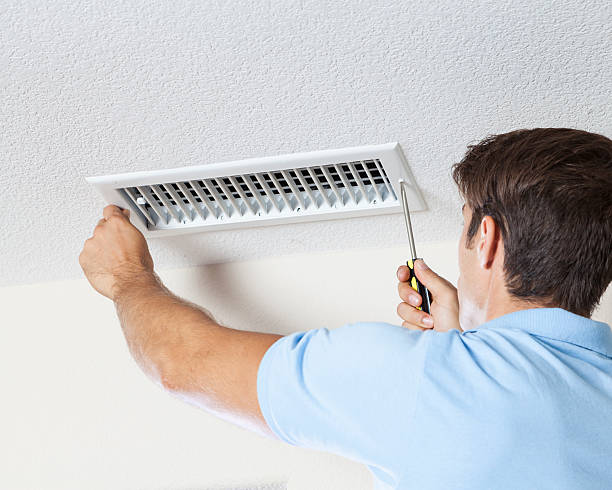 Best Crawl Space Mold Remediation  in Dland, MI