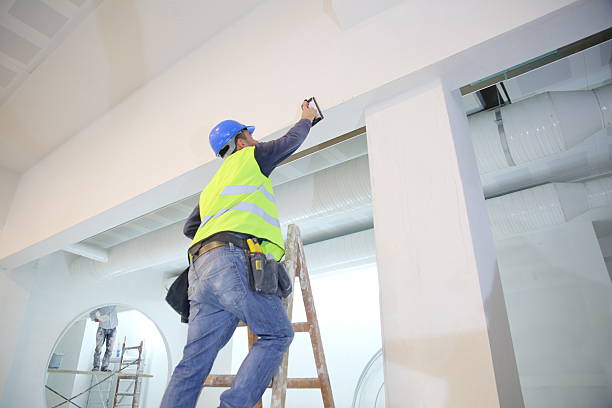 Reliable Midland, MI Mold Removal Solutions