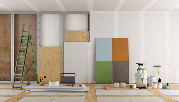 Best Mold Damage Restoration  in Dland, MI