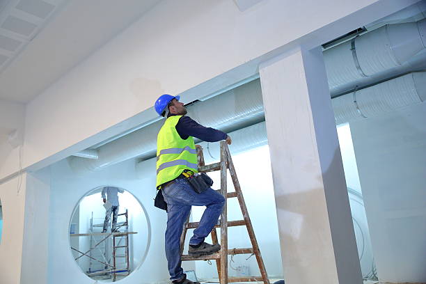 Best Comprehensive Air Testing for Mold Contaminants  in Dland, MI