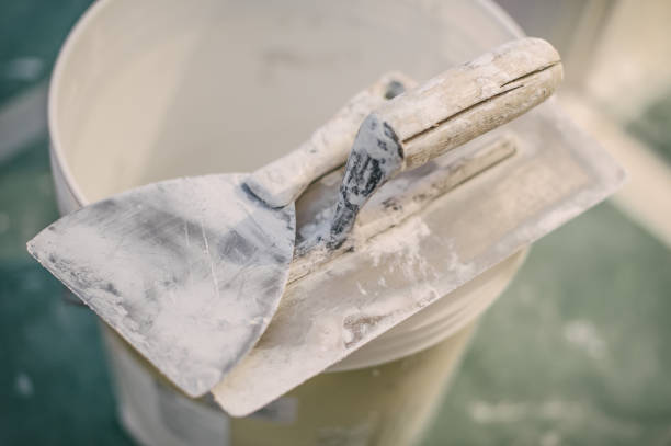 Best Mold-Related Health Consultation  in Dland, MI