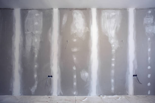 Best Air Quality Testing for Mold Spores  in Dland, MI